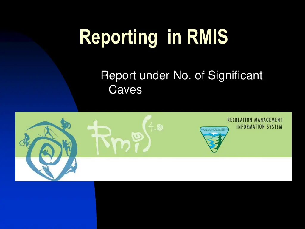 reporting in rmis