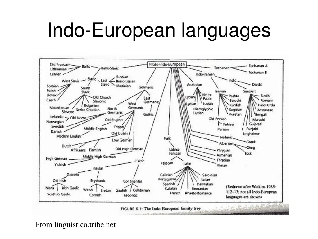 indo european languages