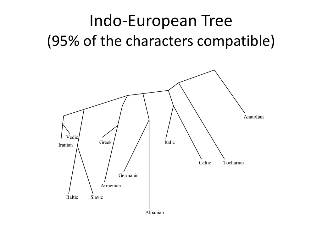 indo european tree 95 of the characters compatible