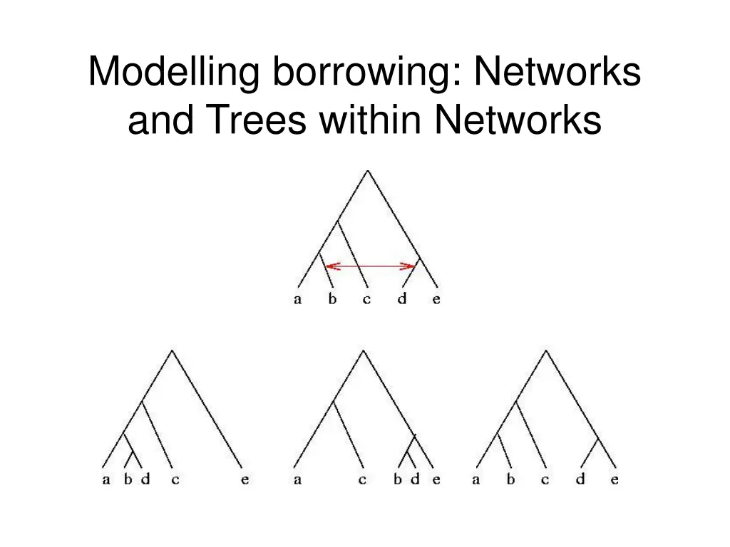 modelling borrowing networks and trees within