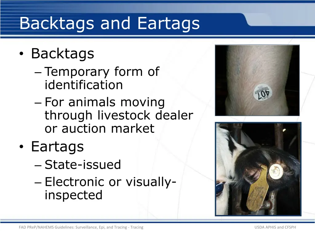 backtags and eartags