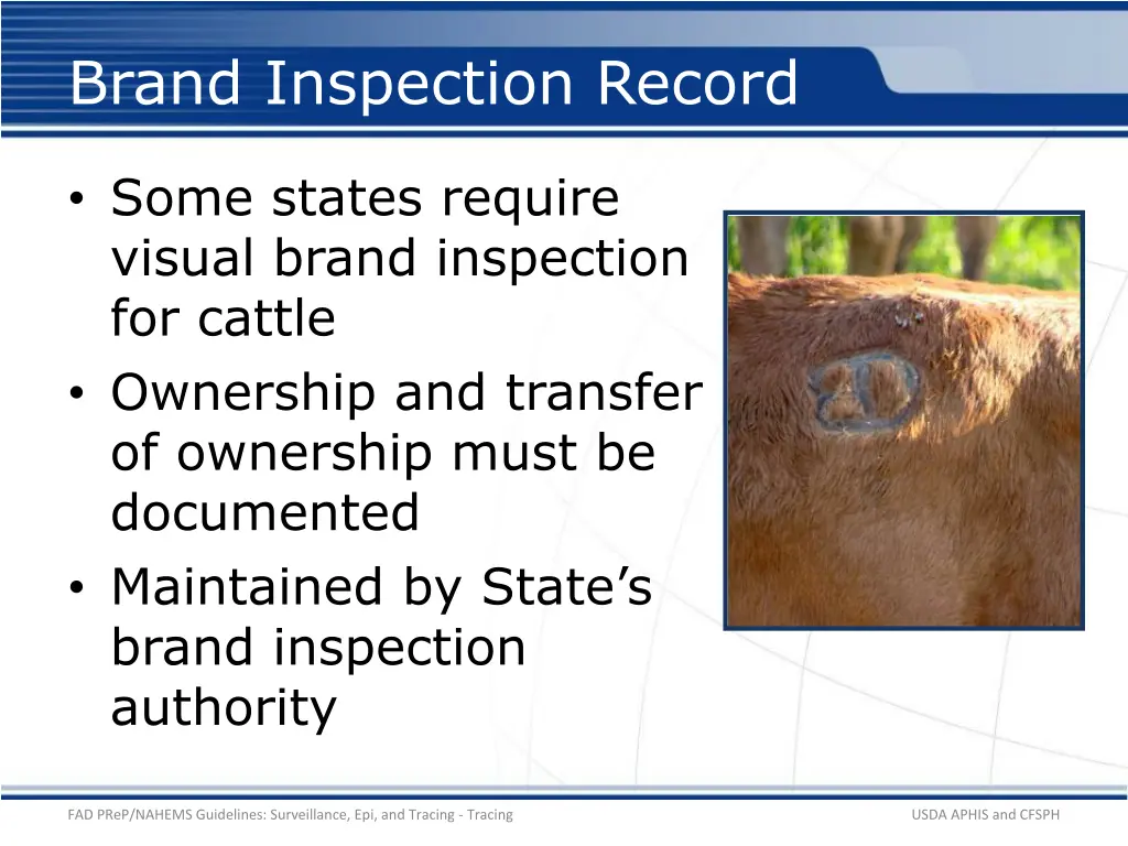 brand inspection record