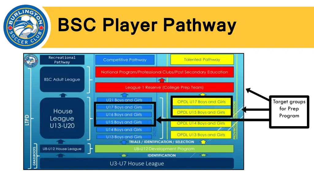 bsc player pathway