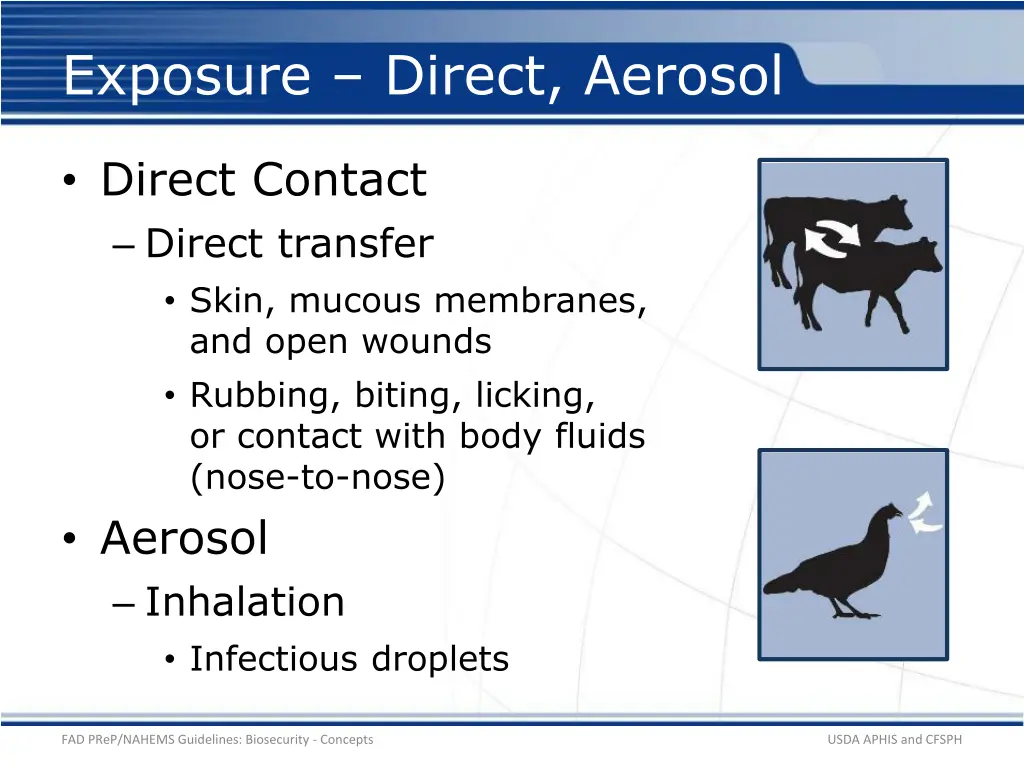 exposure direct aerosol