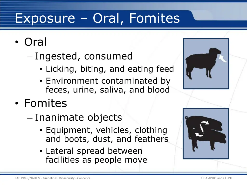 exposure oral fomites