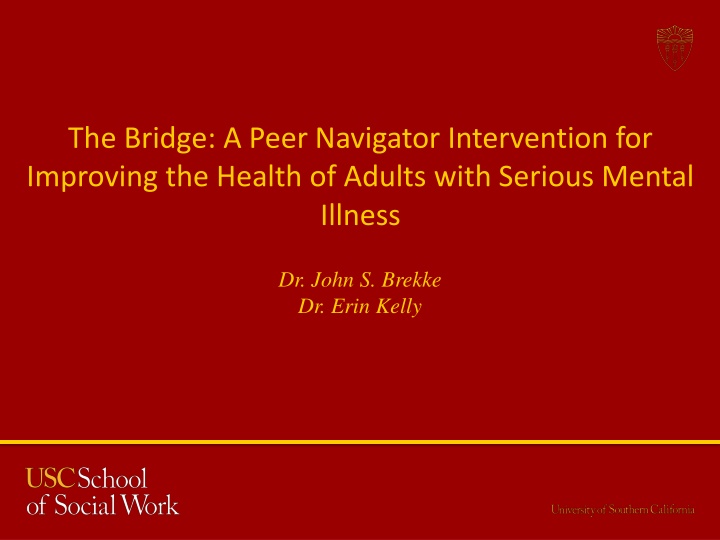 the bridge a peer navigator intervention