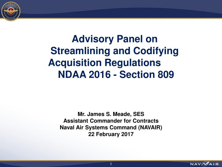 advisory panel on streamlining and codifying