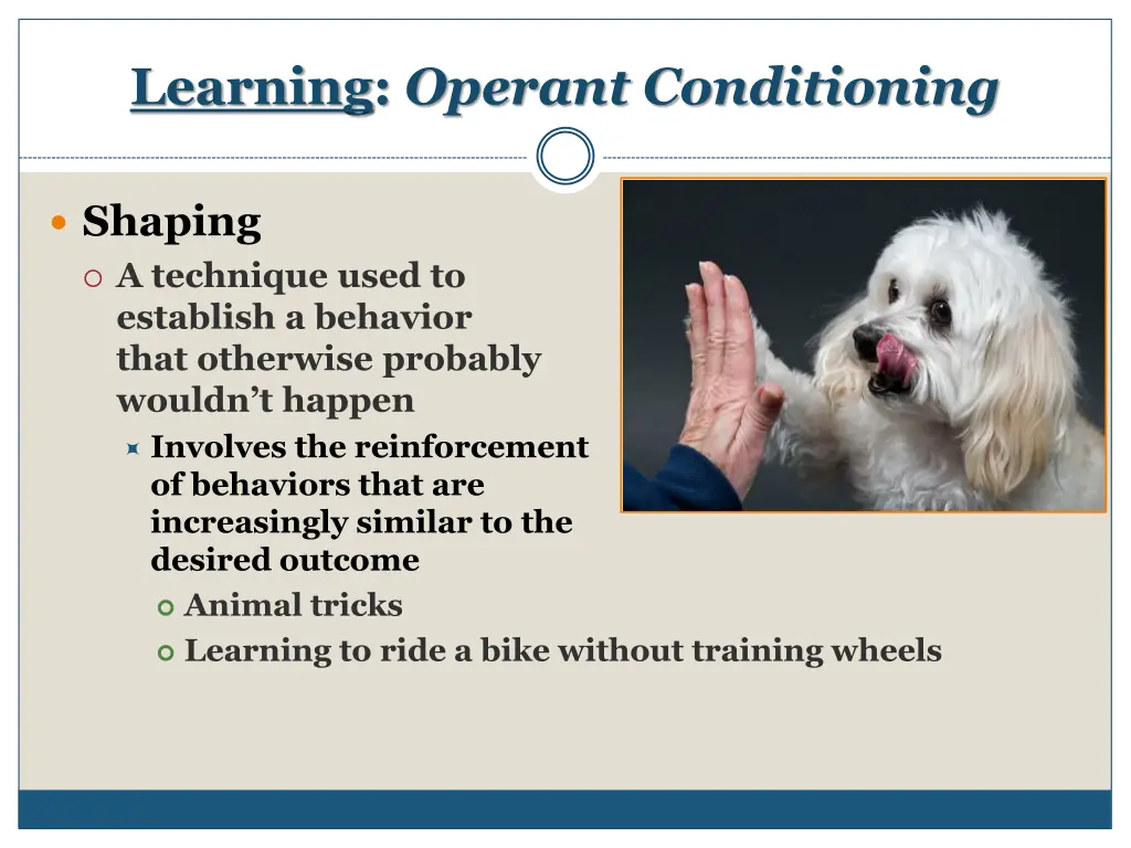 learning operant conditioning 12