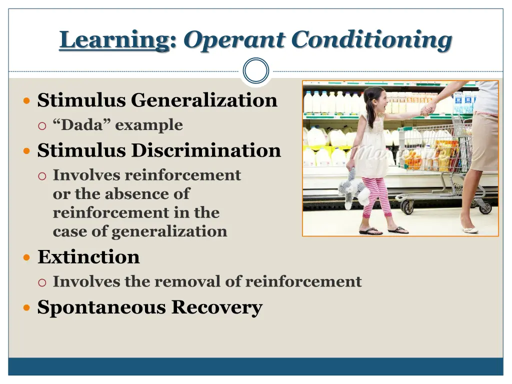 learning operant conditioning 13