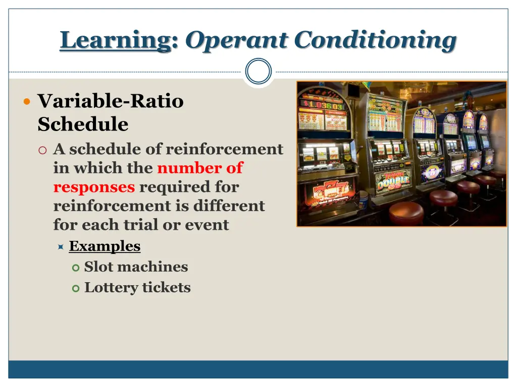 learning operant conditioning 20