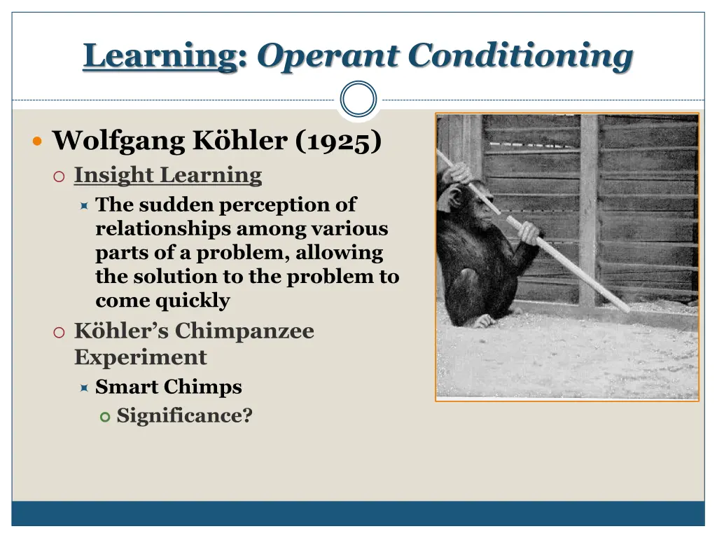 learning operant conditioning 23