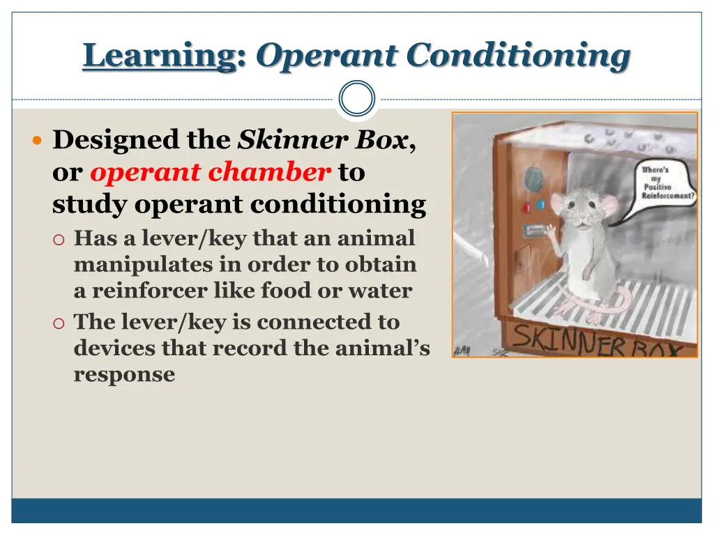 learning operant conditioning 3