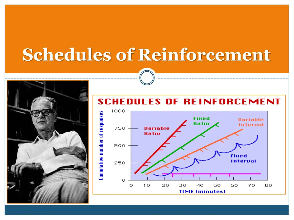 schedules of reinforcement