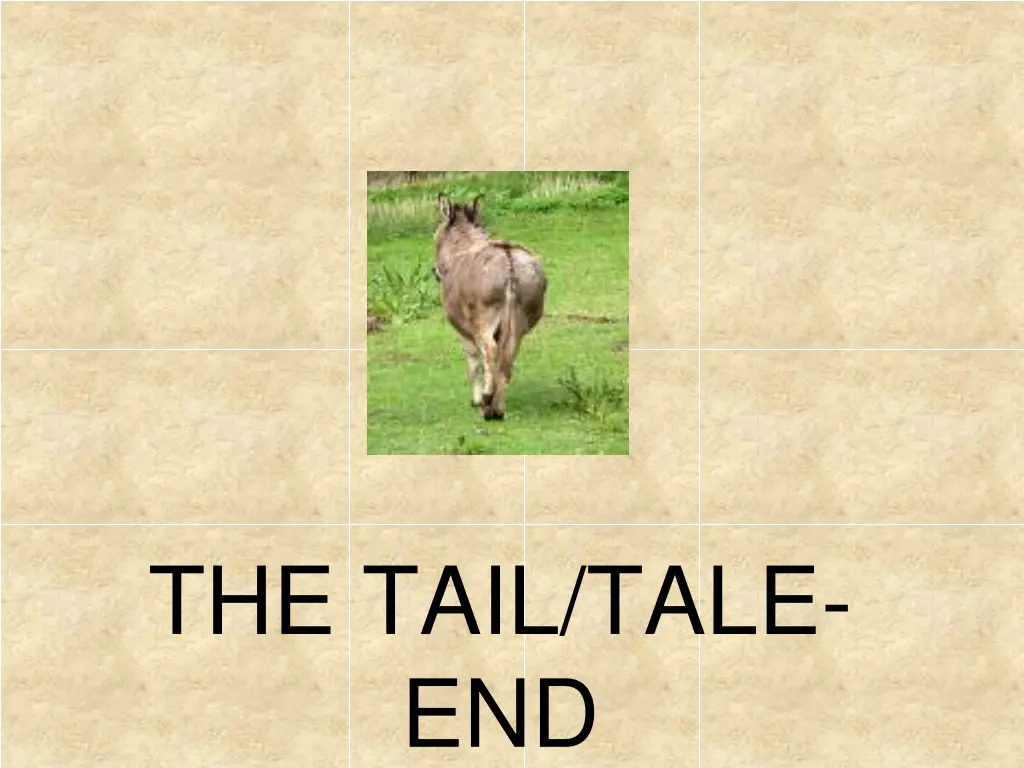 the tail tale end