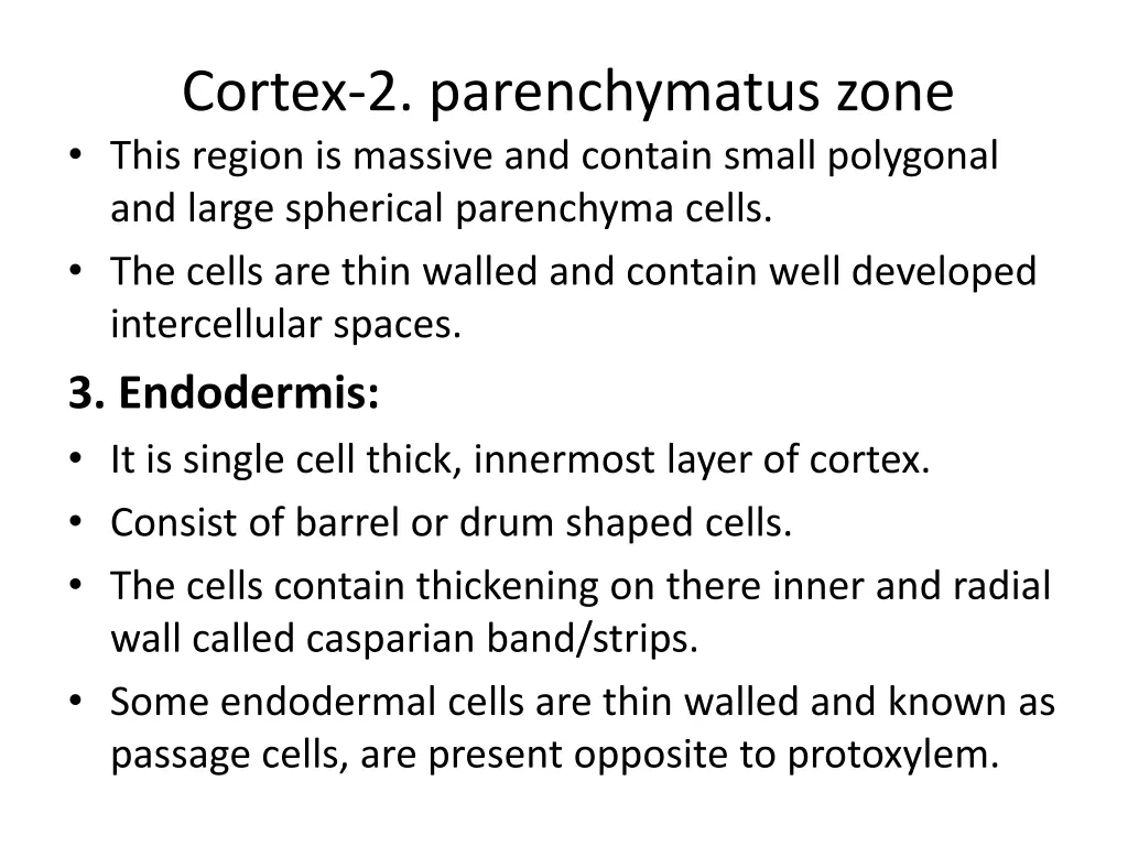 cortex 2 parenchymatus zone this region