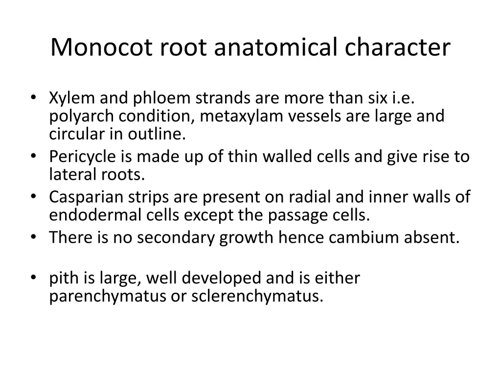 monocot root anatomical character