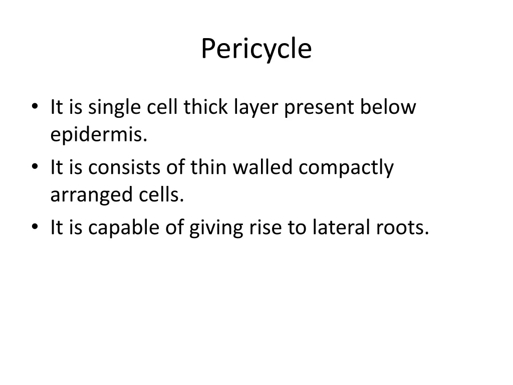 pericycle