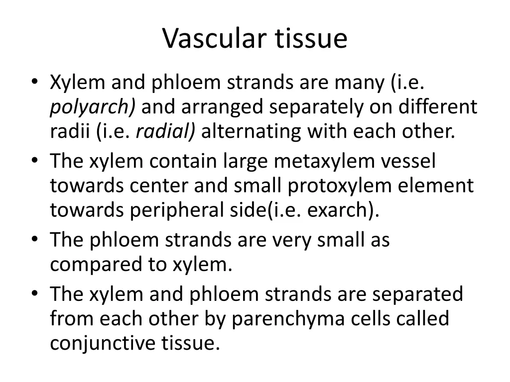 vascular tissue