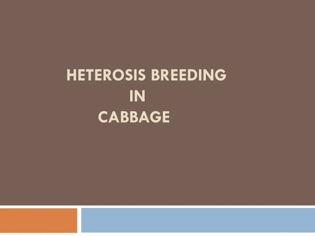 heterosis breeding in cabbage 1