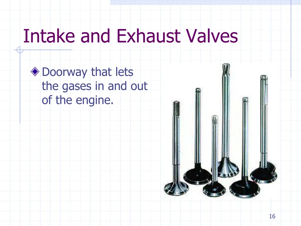 intake and exhaust valves