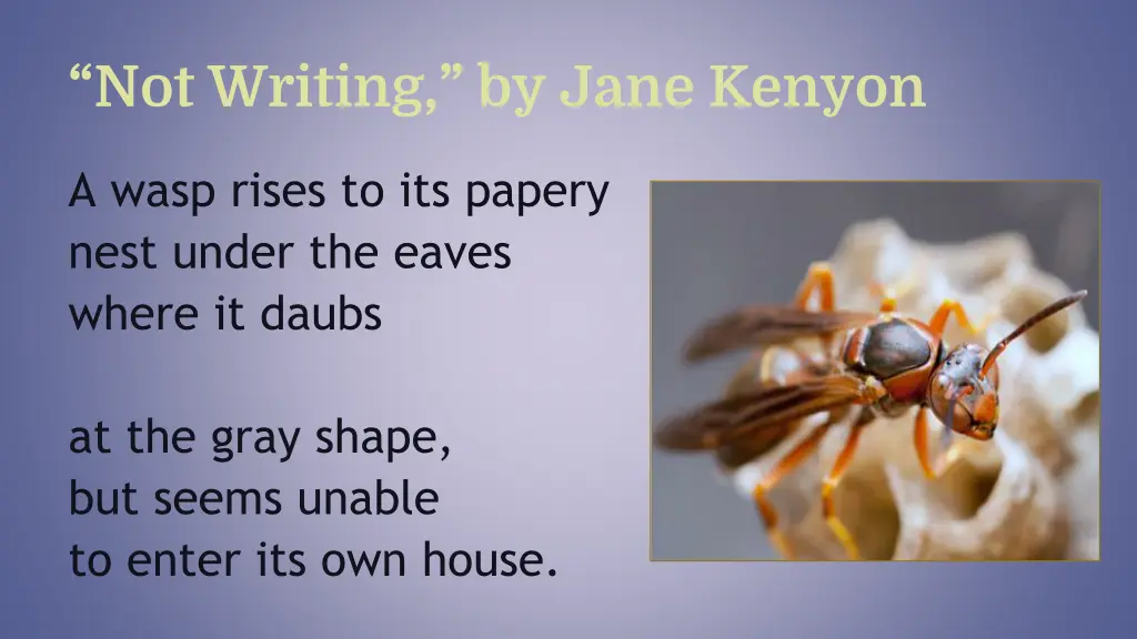 not writing by jane kenyon