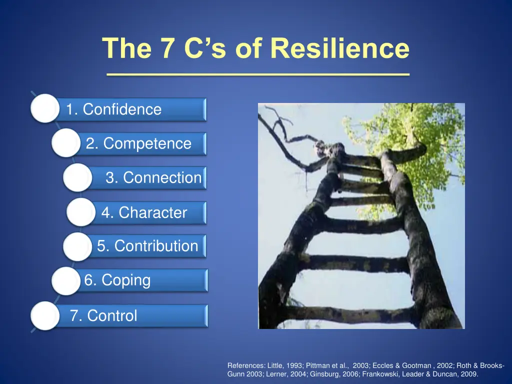 the 7 c s of resilience