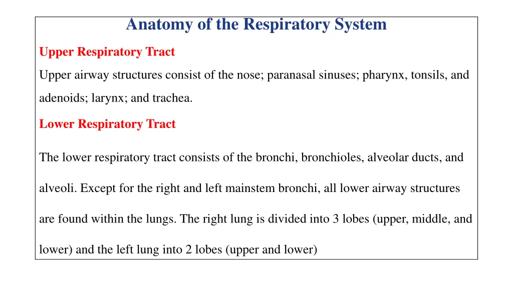 anatomy of the respiratory system