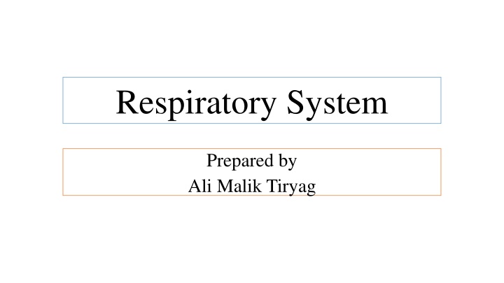 respiratory system