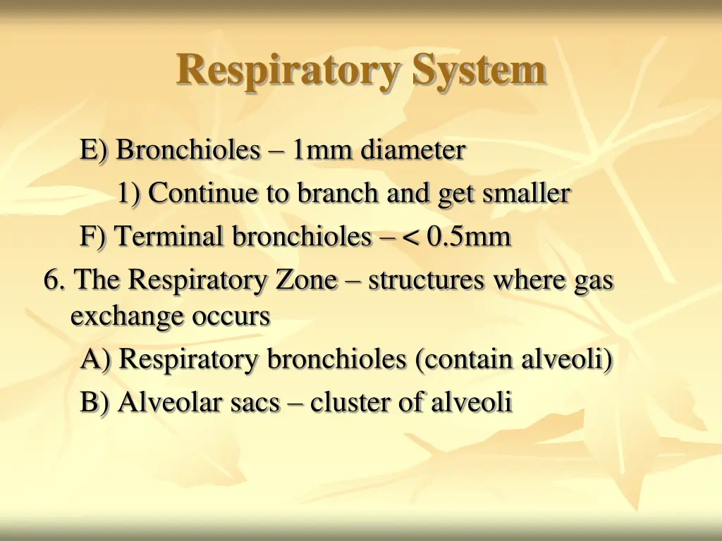 respiratory system 10