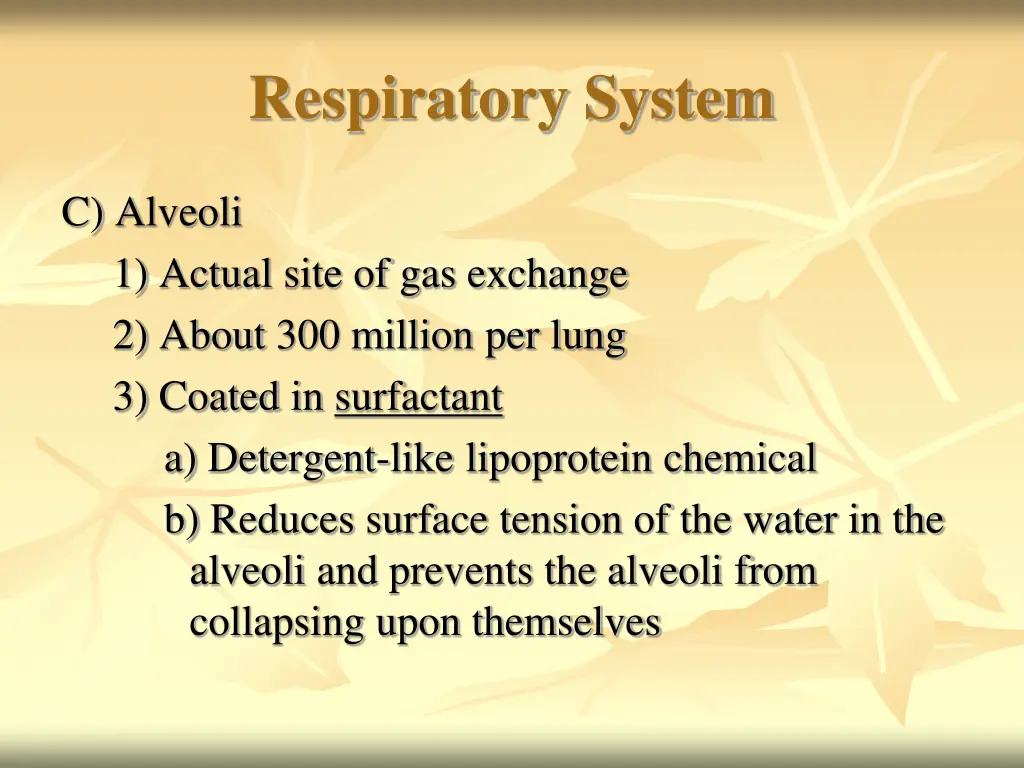 respiratory system 11