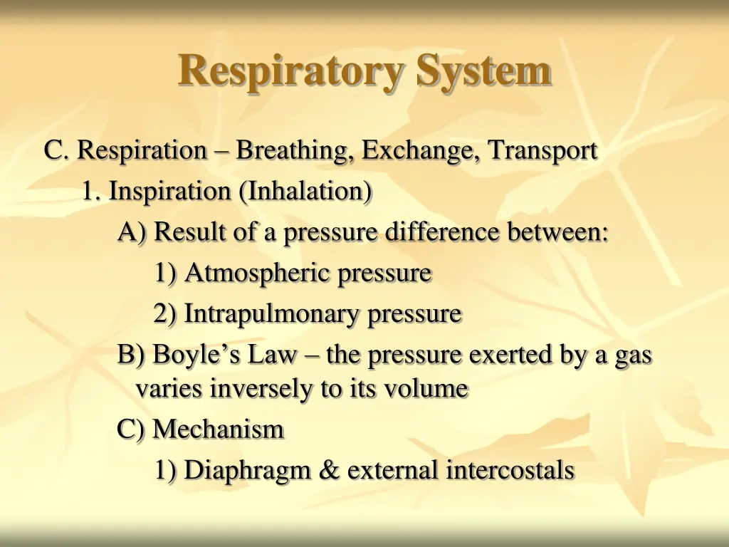 respiratory system 12