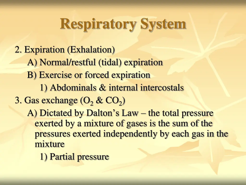 respiratory system 13