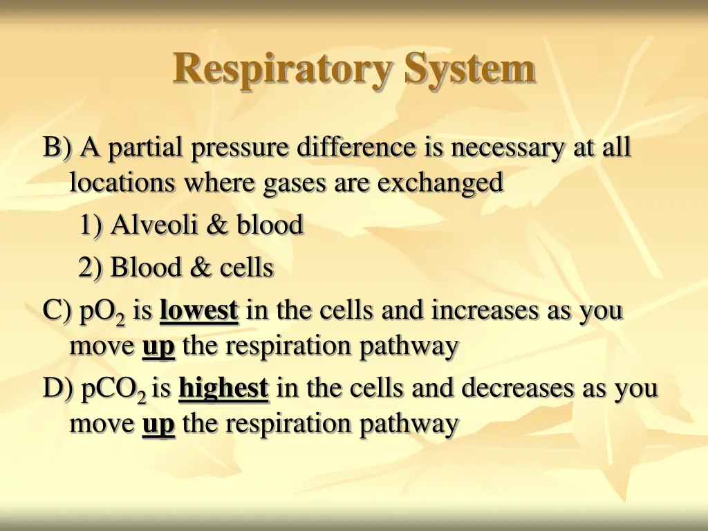 respiratory system 14