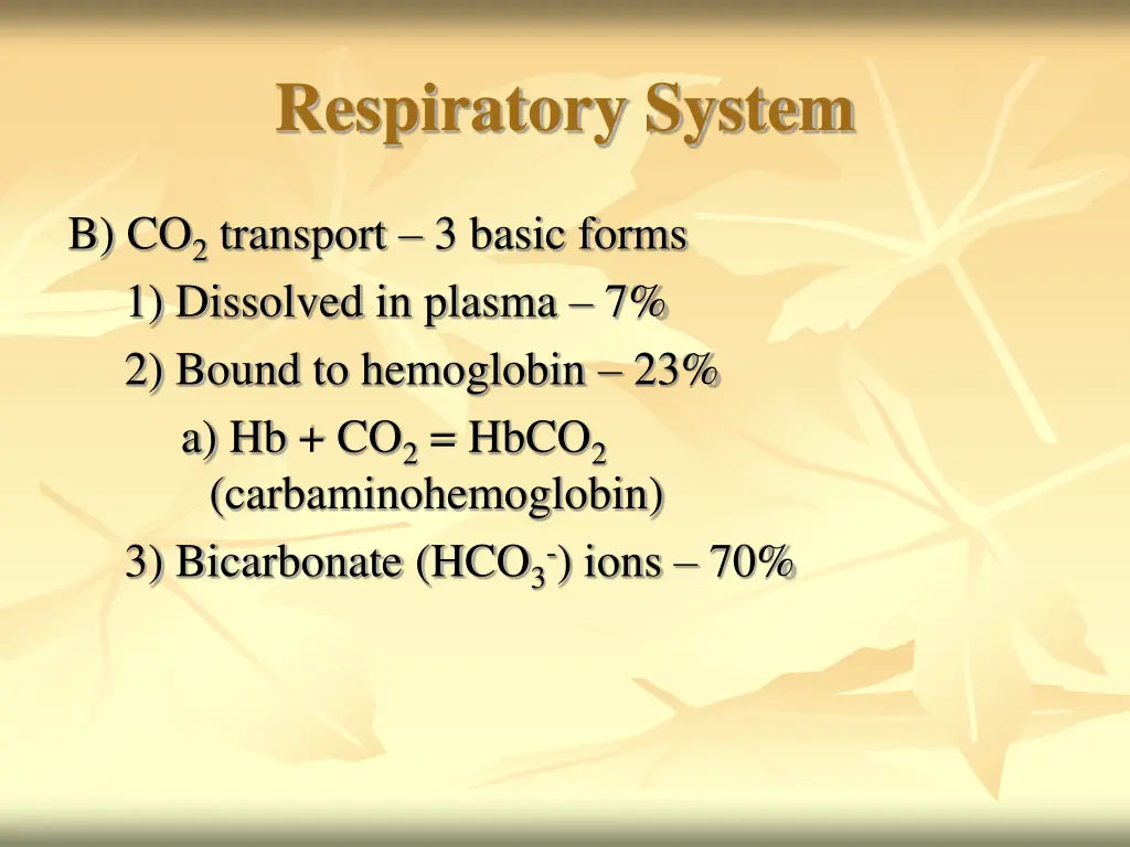 respiratory system 18