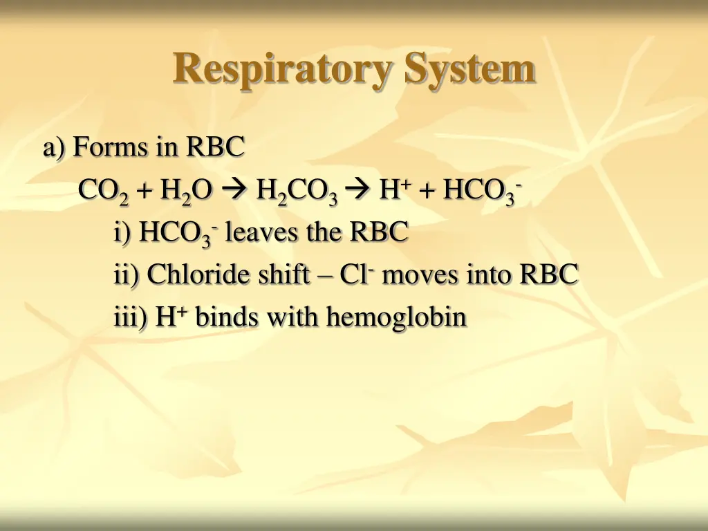 respiratory system 19