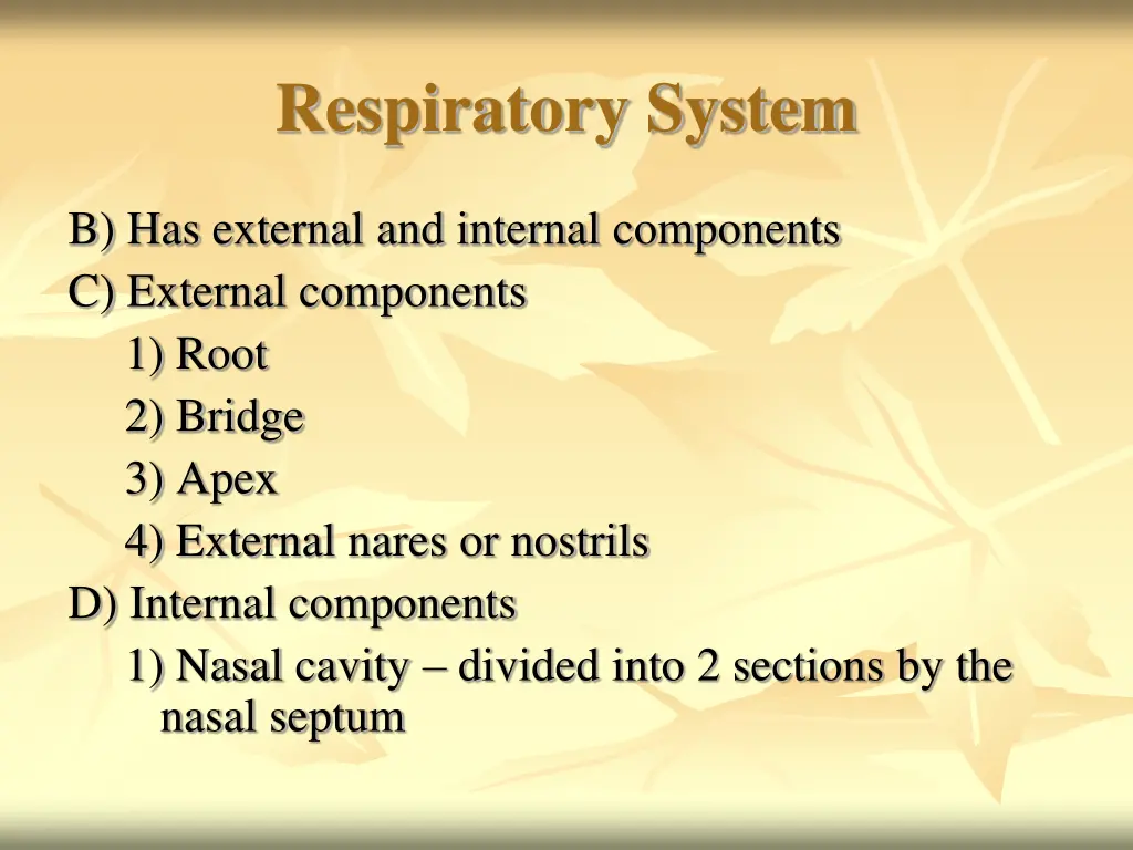 respiratory system 2