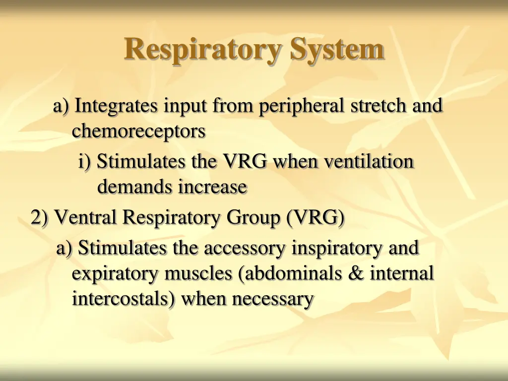 respiratory system 22