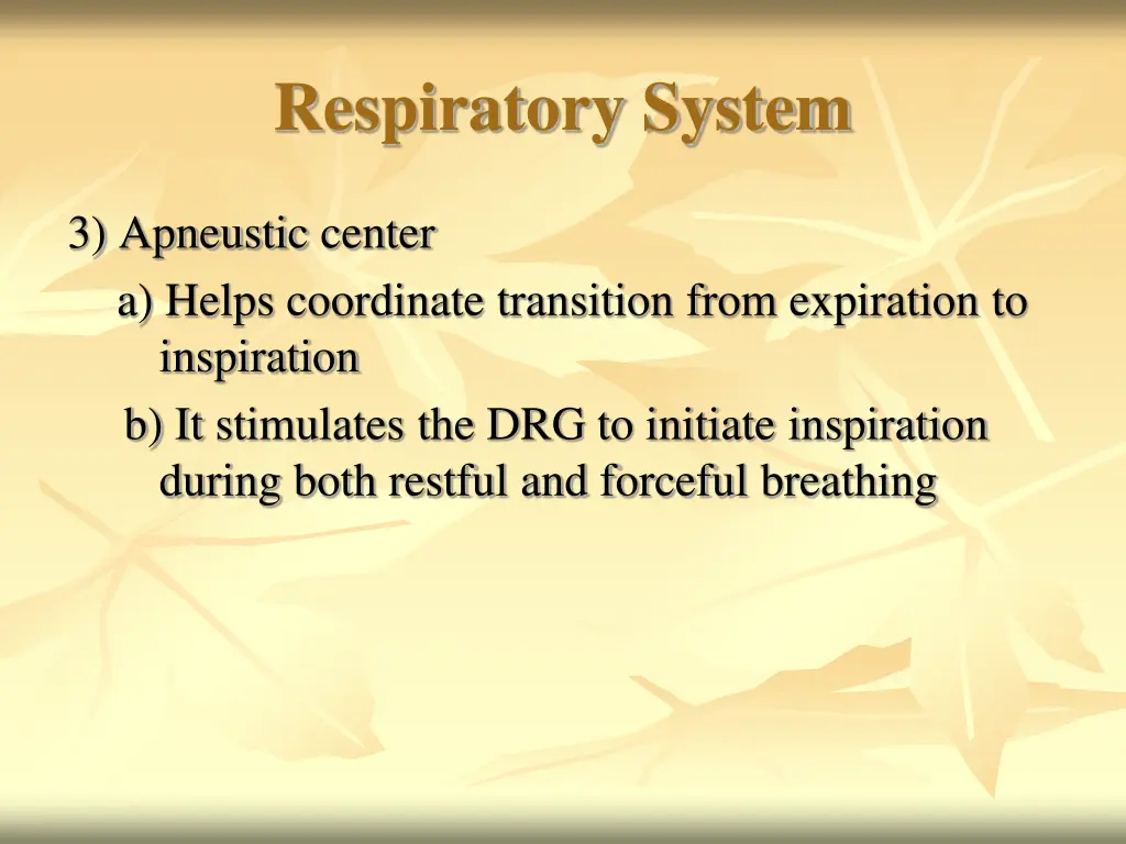 respiratory system 23