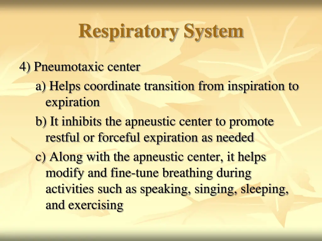 respiratory system 24