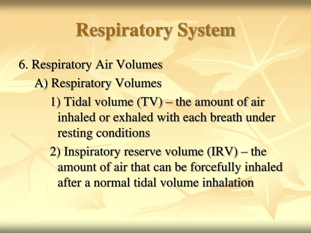 respiratory system 26