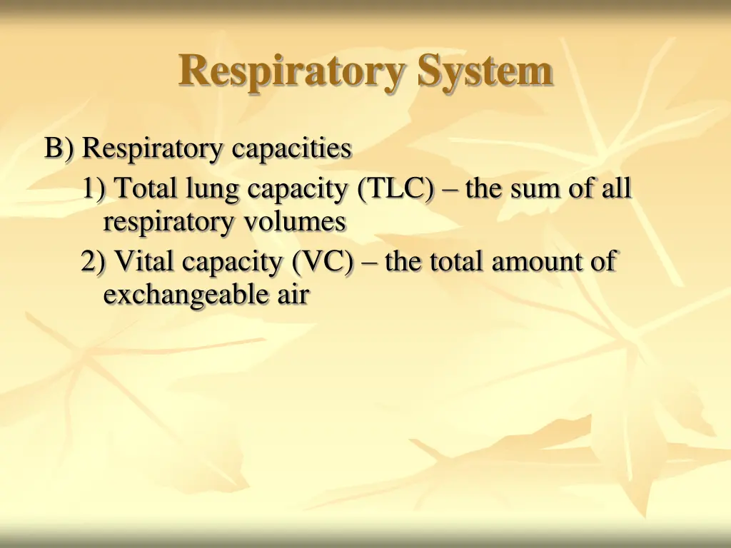 respiratory system 28