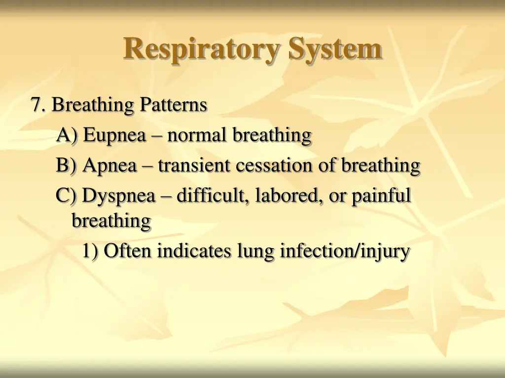 respiratory system 29