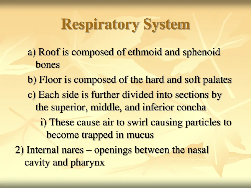 respiratory system 3