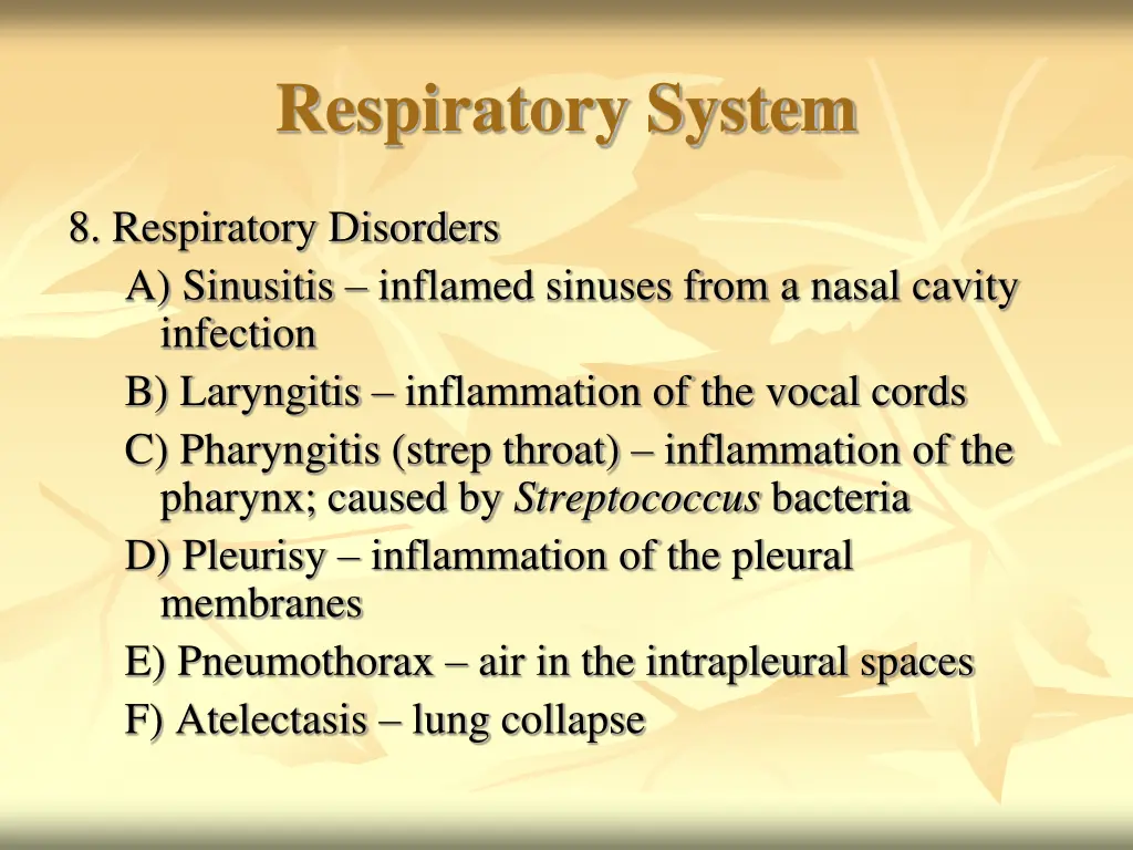 respiratory system 31