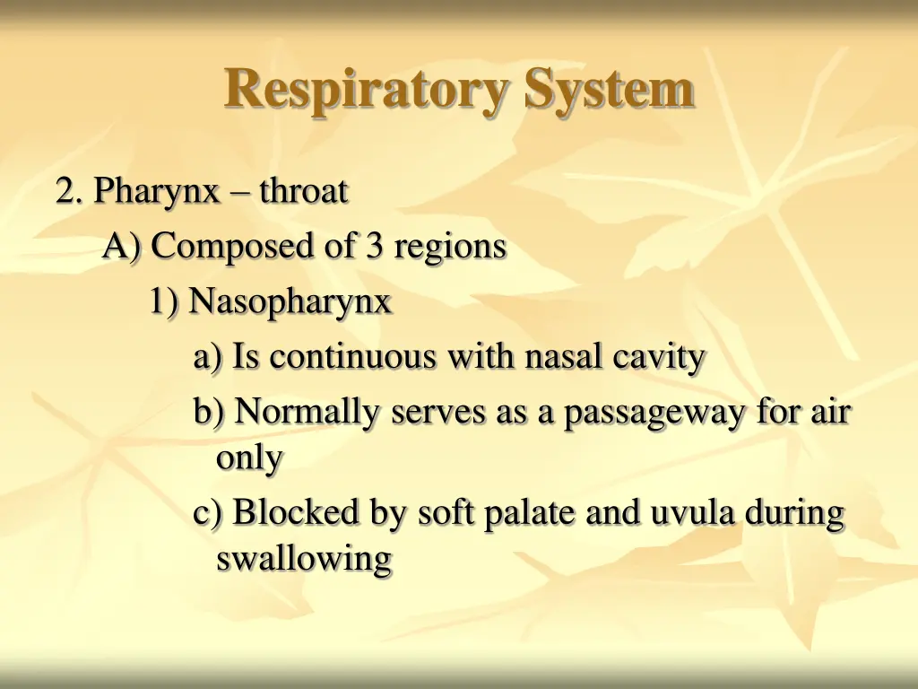 respiratory system 4