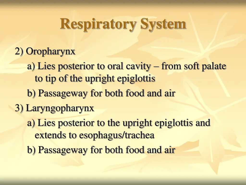 respiratory system 5