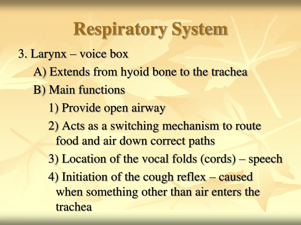 respiratory system 6