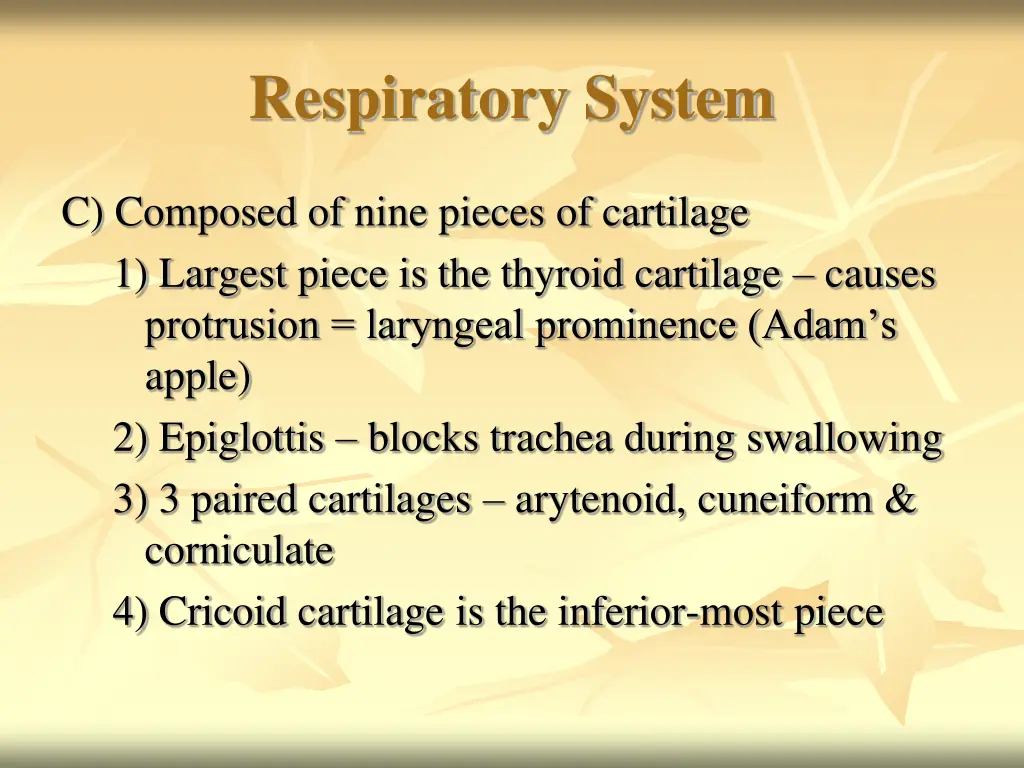 respiratory system 7