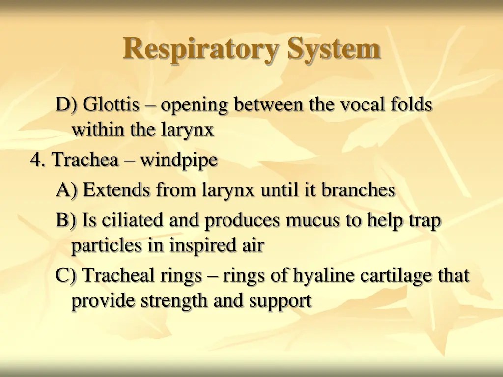 respiratory system 8