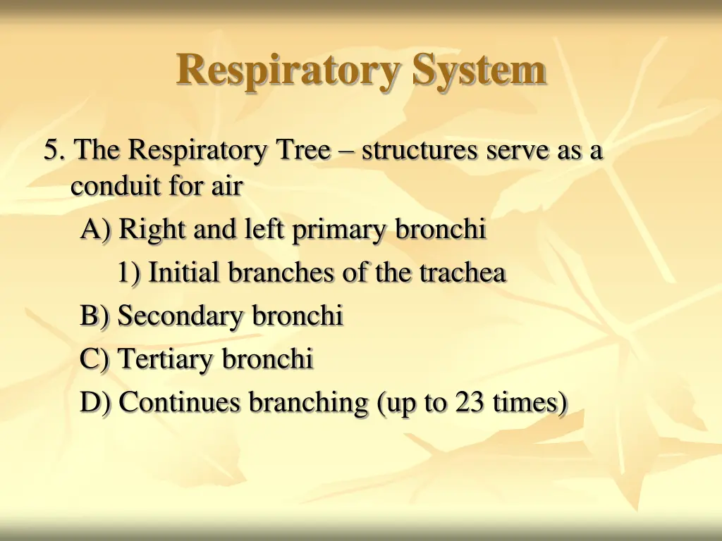 respiratory system 9